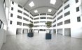 12 atrium